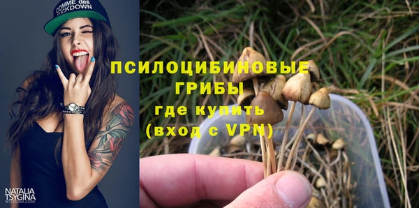 мдпв Зерноград
